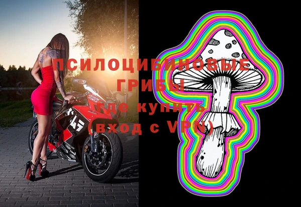 mdpv Арсеньев