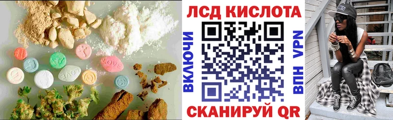 закладка  Гатчина  LSD-25 экстази ecstasy 