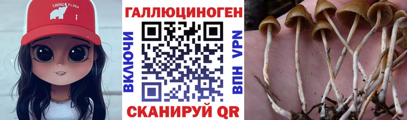 Псилоцибиновые грибы мухоморы  Гатчина 